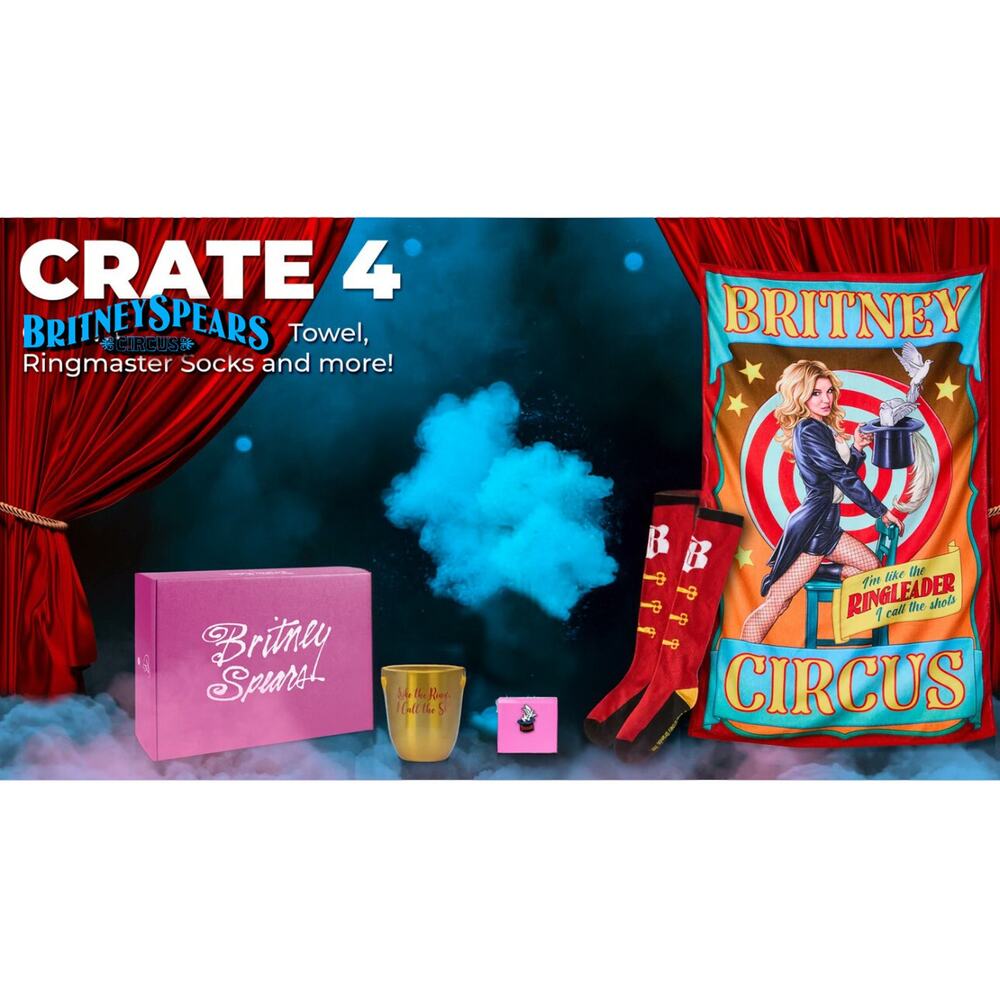 Britney Spears Circus Loot Crate #4 Knee High Socks 6-12 Tumbler Blanket